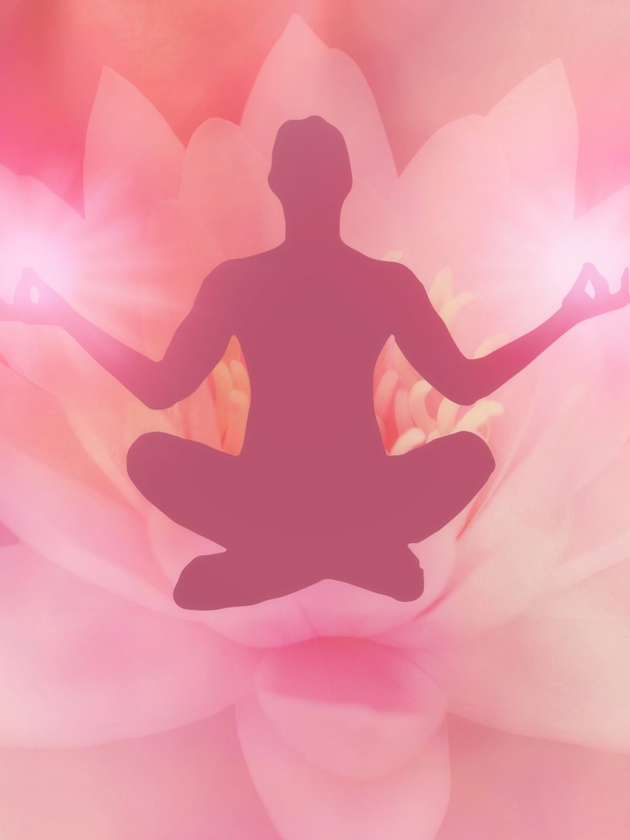 lotus, meditation, lotus position